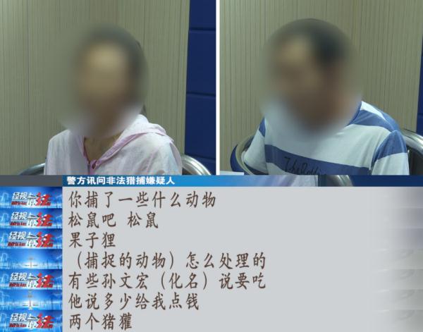 国家重点保护野生动物惨遭杀害，18人被起诉