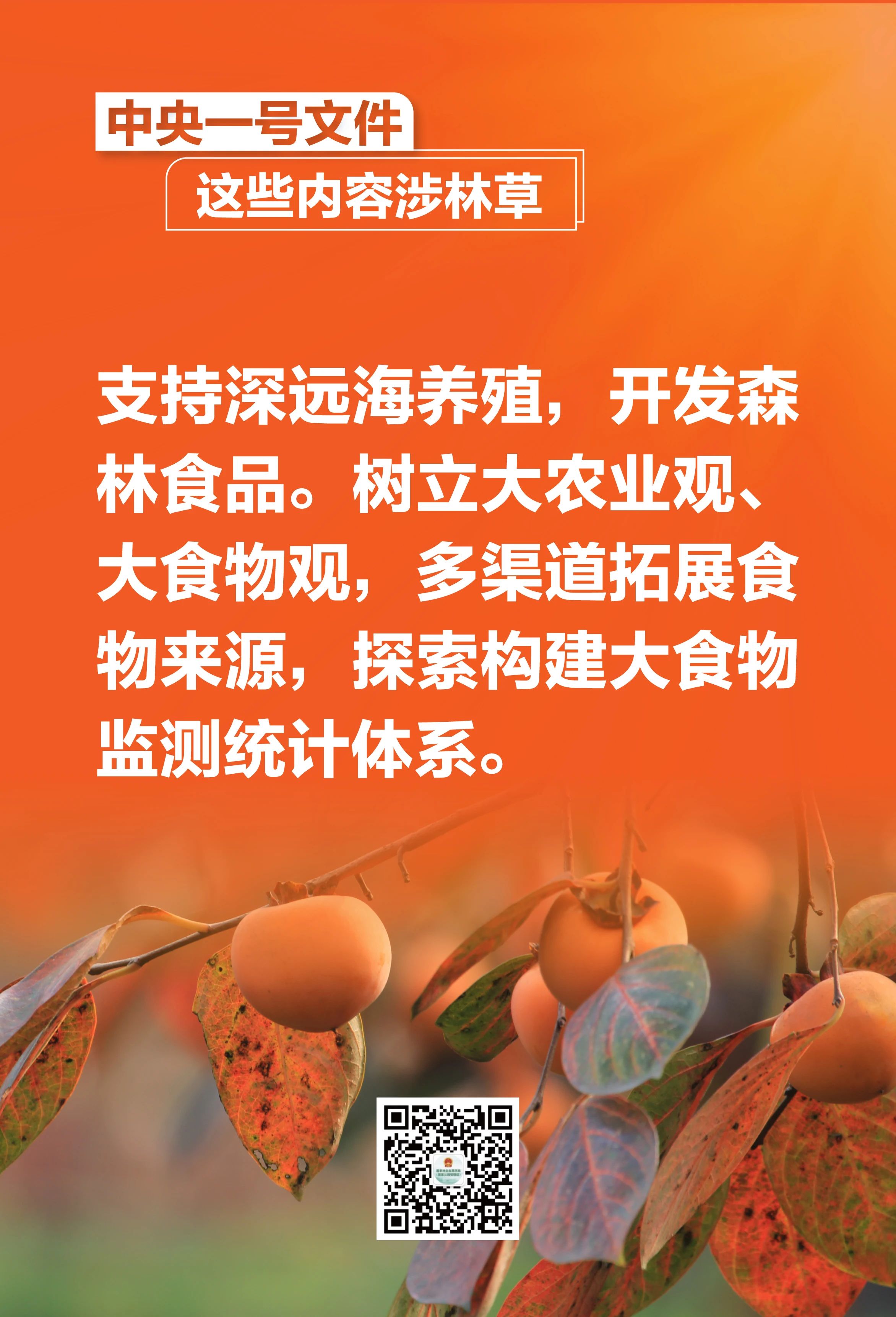 8e67a8f43c75bed5f966fb91a47e77bd.jpg