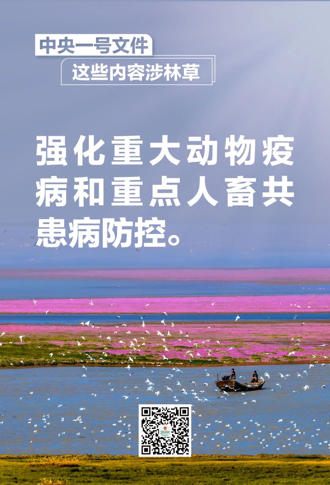 9a4fff4d00efef7e68fda6e3f2c88807.jpg