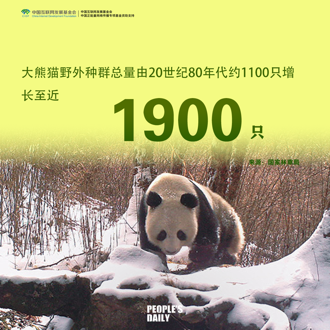 db6302252d962314d8a6da2efe7036ea.png